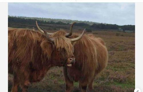 The Boat House - Foto 13