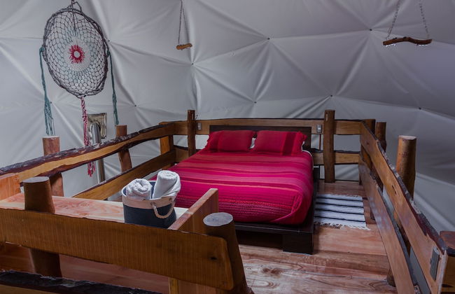 Cabañas Ensenada Bosque Nativo - Foto 4