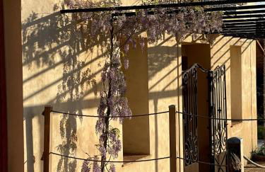 Hort de les Oronetes - Foto 10