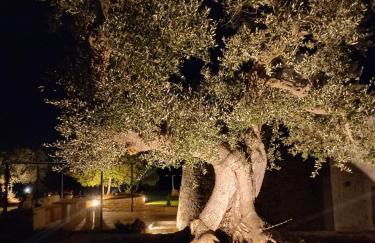 Il nido delle rondini - Foto 56