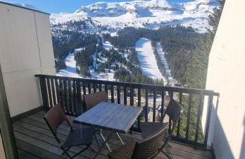 La spatule - Photo 6