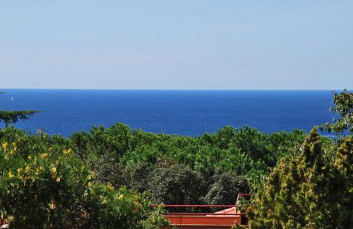 Club Villamar - Fedora - Foto 13