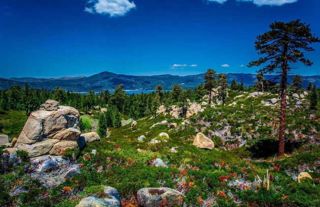 Sugar Chalet #2157 - Photo 12