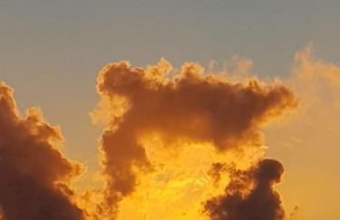 El Quinto Pino - El Estudio - Foto 3