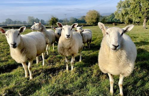 Broomers Barn - Foto 26