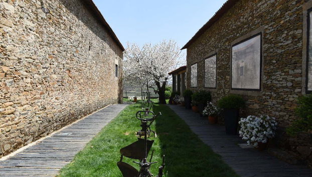 Quinta da Avessada Winery Tour - Foto 3