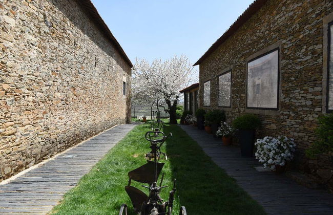 Quinta da Avessada Winery Tour - Foto 3