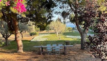 Coralia's beachfront sea view studio - Foto 3, Garden