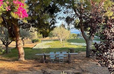 Coralia's beachfront sea view studio - Foto 3