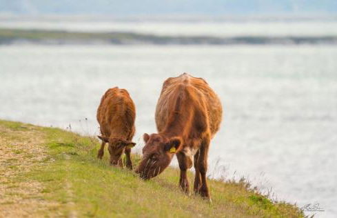 Number 2 Lymington Hampshire - Foto 8