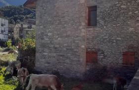 Casa El Abeto - Photo 3