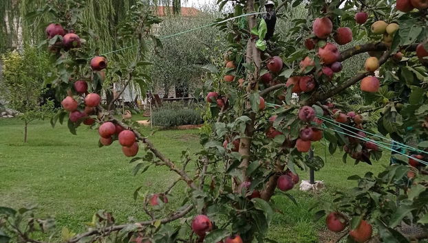 1-bed Apartment Sleeps 2 - Free Parking and Garden - Photo 4, Divers