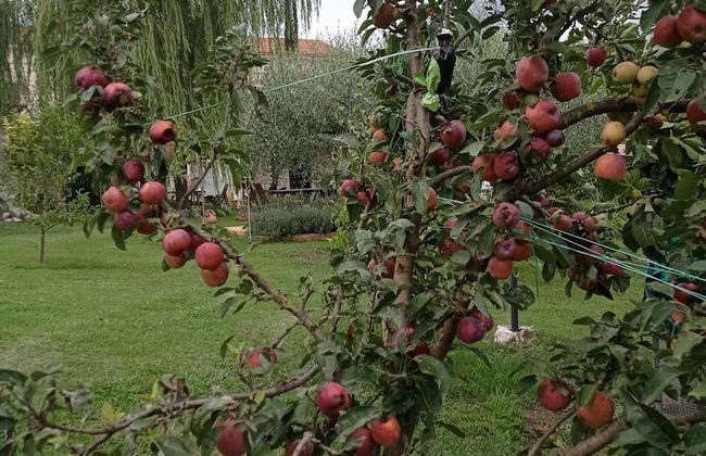 1-bed Apartment Sleeps 2 - Free Parking and Garden - Foto 4