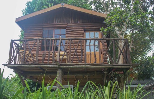 The Blue Mahoe Treehouse - Photo 33