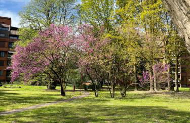 Oliver Apartment - Foto 8