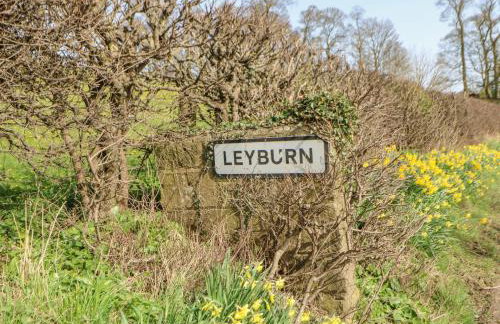 66 Dale Grove - Foto 36