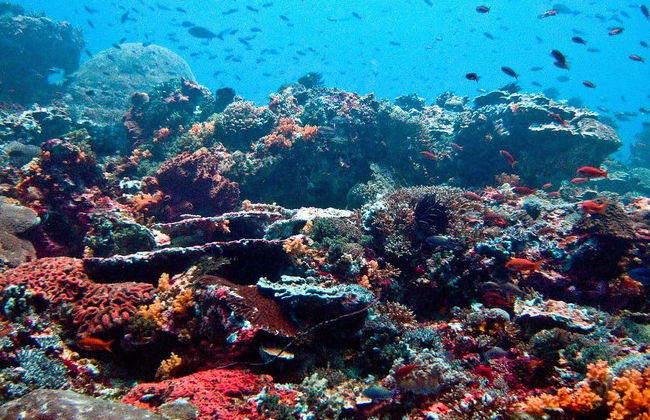 Boat to Nusa Penida & Gili Islands - Photo 4