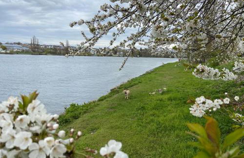 Lieblingsplatz Koblenz - Foto 27
