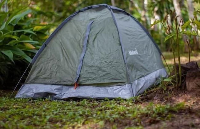 Tronco Tambopata Adventure - Photo 38