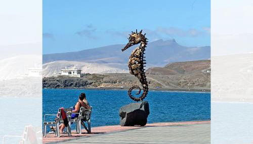 Villa Infinity Geria - Photo 5