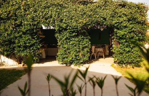 Nas Mar & Twins - Aristea - Foto 28