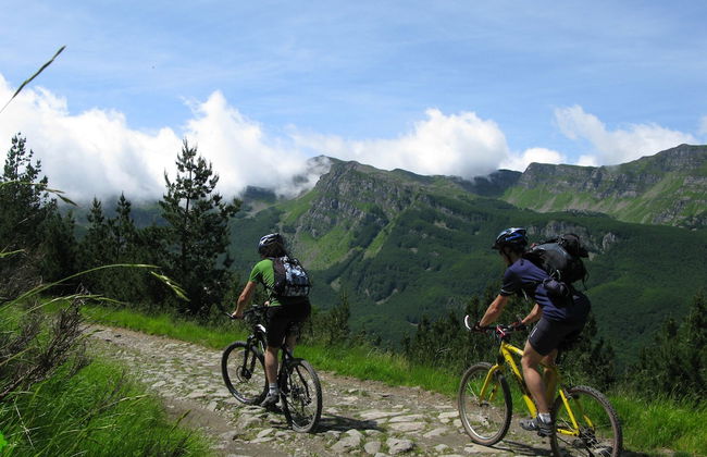 Residence Cimone - Foto 34