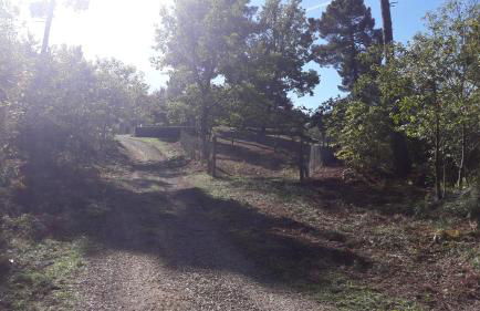 Casolare Giovangrande - Foto 43