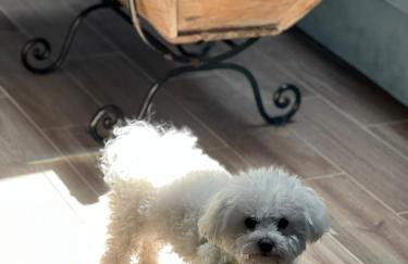 Casa rural La Rosa de Llerena - Foto 26