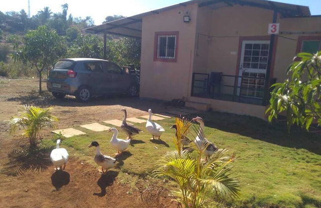 Bimal Farm Home Stay - Foto 17