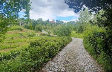 As Casinhas de Santo Ovidio - Foto 25