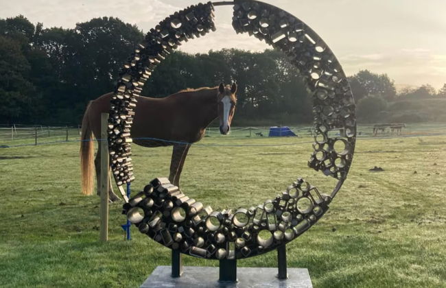 Flower Farm Glamping Retreat in Suffolk - Foto 4