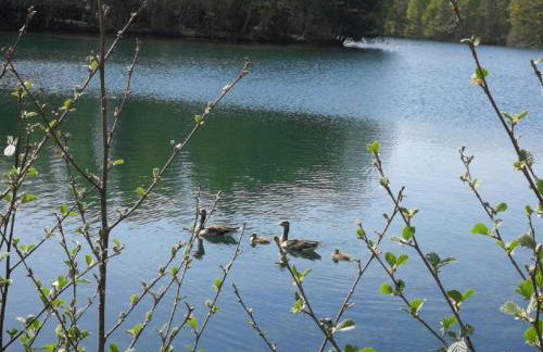 Holiday Home Natur by Interhome - Foto 19