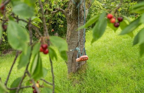 4 Bed in Routenbeck SZ405 - Foto 36