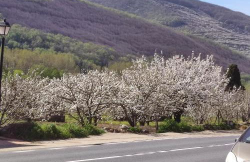 Apartamentos Atenea Jerte - Foto 25