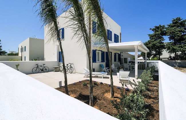 Spuma di Mare - Riccio - Foto 1