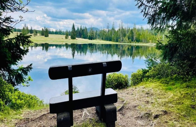 Lavish Holiday Home in Abertamy near Ski Area - Photo 29