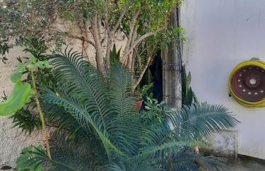 Estúdio acolhedor e versátil - Foto 7