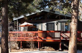 Bearadise Cabin - Foto 15