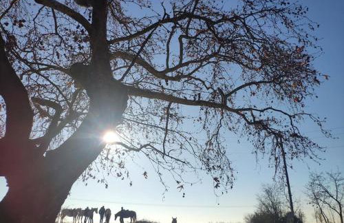 The Cozy Garden Villa - Foto 28