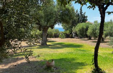 Country Vila - Foto 2