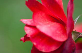 Agriturismo Il Cavicchio - Foto 97