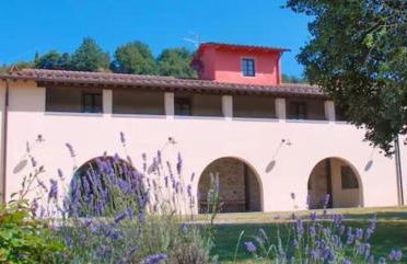 azienda agricola lo zolfino - Photo 2