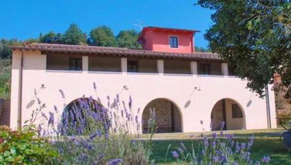 azienda agricola lo zolfino - Foto 1