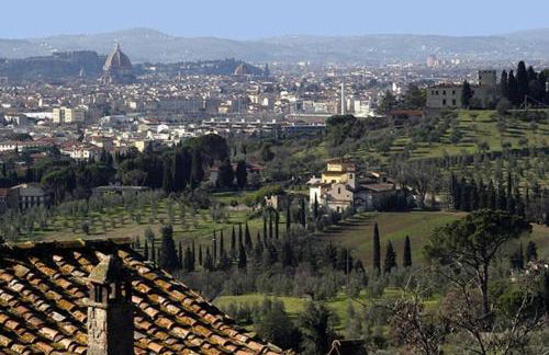 Oro Blanco - Foto 33