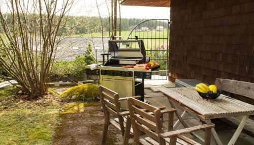 Ferienwohnung in Schönwald Schwarzwald - Foto 4, Garden view