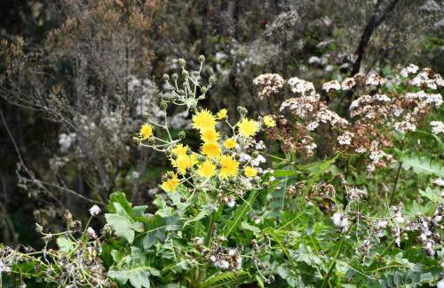 SABINOSA RURAL AREA Casa Benito - Foto 6