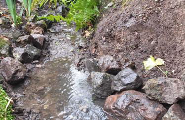 Cottage On The Common - Foto 29