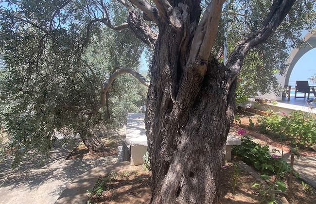 "villa She Ruz " - Photo 43