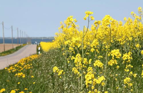 Ferienzimmer in Kröpelin - Foto 13