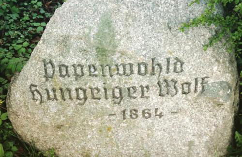 Ferienhaus Hof Papenwohld - Naturpark, Gartensauna - Foto 62